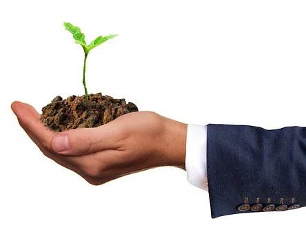 Interim management | Coaching | Strategisch advies